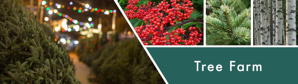 Goose Creek Tree Farm świeca sojowa 3 knoty 411g