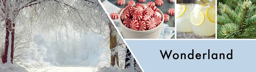 Goose Creek Wonderland mała świeca zapachowa 198g