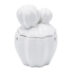 Scentchips Kominek Zapachowy Cactus White