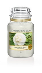 Yankee Candle Camellia Blossom duża świeca zapachowa 623g