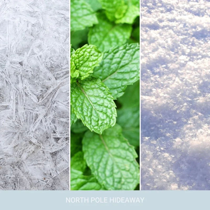 Yankee Candle NORTH POLE HIDEAWAY Signature Świeca zapachowa duża