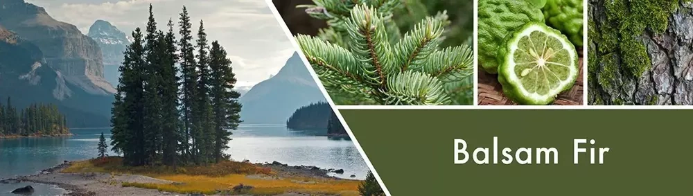 Goose Creek Balsam Fir wosk zapachowy 59g