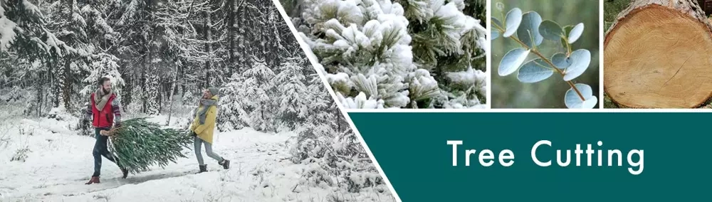 Goose Creek Tree Cutting wosk zapachowy 59g